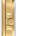 Casio Casio Collection LTP-V300G-1A кварцевые женские часы часы крупный план черный циферблата