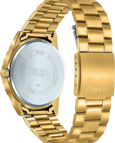 Casio Collection MTP-VD02G-1EUDF (MTP-VD02G-1E)