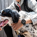 Casio Casio G-Shock GA-2200BB-1ADR (GA-2200BB-1AER) GA - задняя крышка карбон корпуса, япония часы