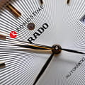 Rado Rado Coupole Classic Automatic R22861115 мужские часы шампань циферблат на запястье