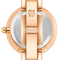 Часы Anne Klein Trend 3916BHRG фото 2